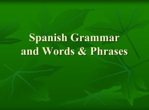 Spanish Grammar and Words & Phrases (Presentation) author Texas Municipal Courts Education Center