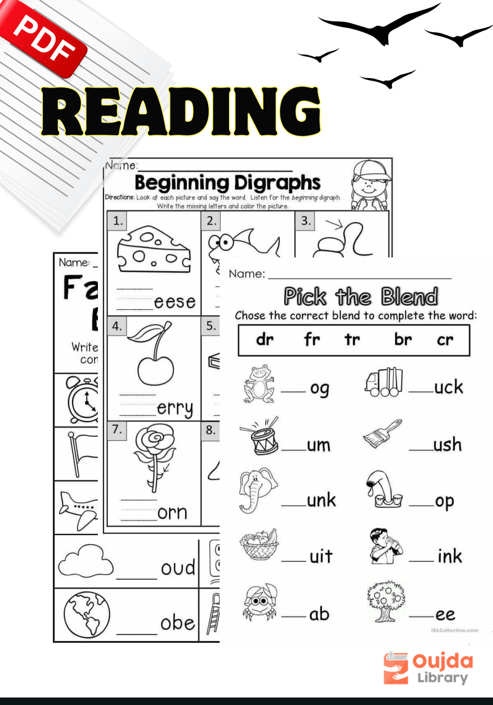 Reading Beginning Diagraphs – Kindergarten Library